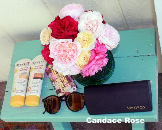 Aveeno Active Naturals Protect + Hydrate Lotion Sunscreen Broad Spectrum SPF 50 for the Face and Protect + Hydrate lotion sunscreen Broad Spectrum SPF 30, Kate Spade NY "Everything's Coming Up Roses" iPhone case, Wildfox Couture Steff sunglasses and English roses that I grow.