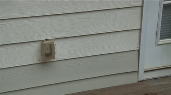 Did you know that unwanted critters can creep into electrical penetration, under doors and under window weatherstripping?