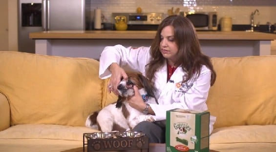 Renowned veterinarian Dr. Andrea Sanchez shows us how to "flip, check, treat" for pet dental health.
