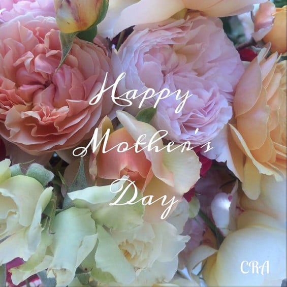 Wishing you Happy Mother's Day with fresh garden roses from RoseCandi Flower Farm near Sacramento, California.