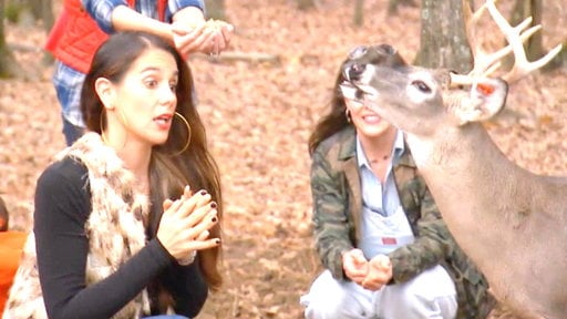 Jaime Primak Sullivan's new hit reality show "Jersey Belle" premieres tonight on Bravo! Candace Rose