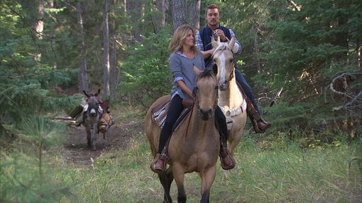 Becca's horse gets out of control, and poor Sully the donkey gets the blame.