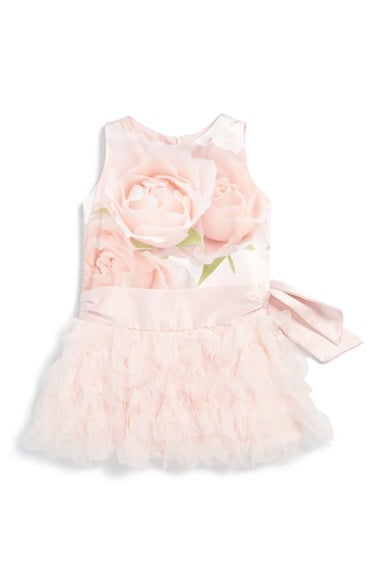 Biscotti 'A Rose Is a Rose' Sleeveless Tulle Dress (Baby Girls) in Pink