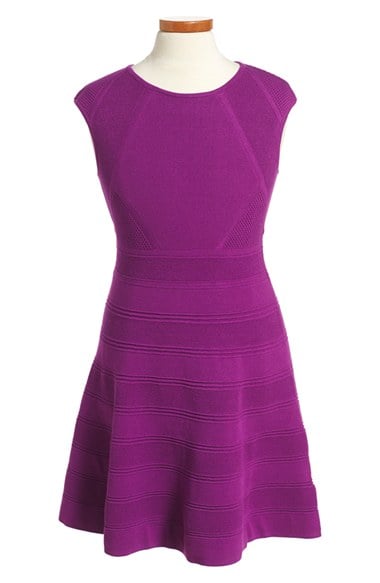 Milly Minis Textured Stripe Skater Dress (Toddler Girls, Little Girls & Big Girls) in Purple