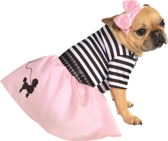 Rubies Costume Halloween Classics Collection Pet Costume, Small, 50s Girl Dress/Poodle Skirt