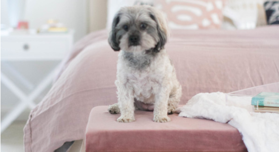 Style Me Pretty founder Abby Larson stopped by the Today show this morning (Friday, September 11, 2015) to show viewers how to DIY a beautiful calligraphy pillow and black and white awning stripe rug for the bedroom! Image courtesy of Twitter.com/StyleMePretty