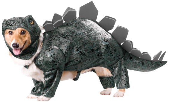 Animal Planet PET20105 Stegosaurus Dog Costume