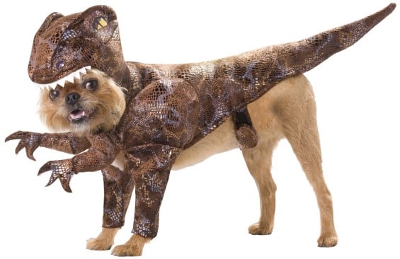 Animal Planet PET20109 Raptor Dog Costume