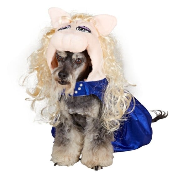 Disney - Muppets - Miss Piggy - Dress Up Dog Costume