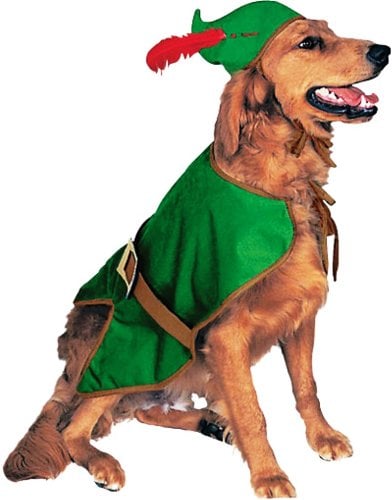 RUBIES COSTUME HALLOWEEN CLASSICS COLLECTION PET COSTUME, ROBIN HOOD, MEDIUM