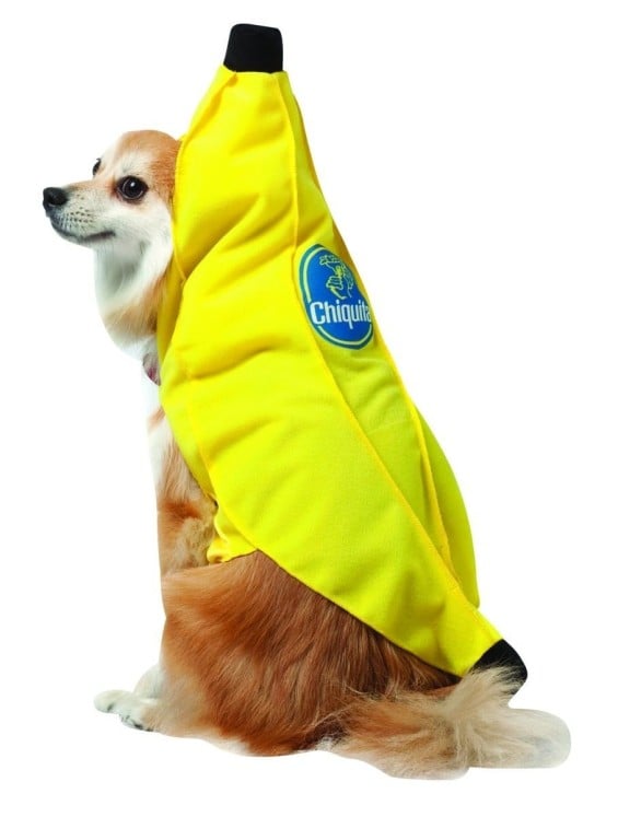 Rasta Imposta Chiquita Banana Dog Costume