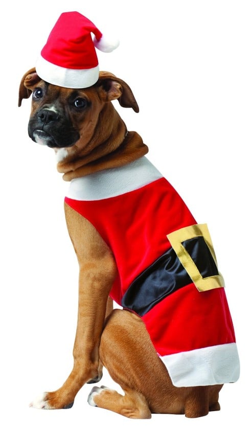 Rasta Imposta Santa Dog Costume