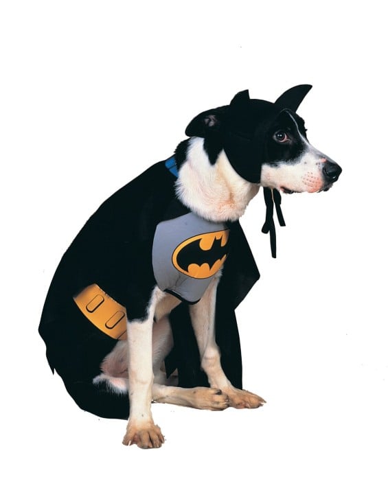 Rubies Costume DC Heroes and Villains Collection Pet Costume - Classic Batman
