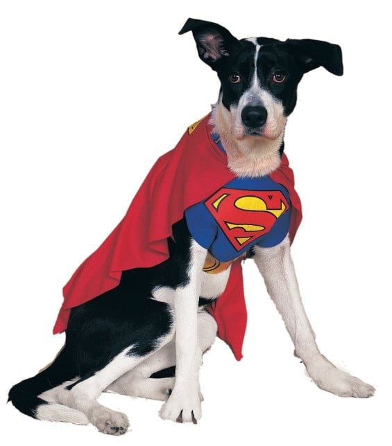 Rubies Costume DC Heroes and Villains Collection Pet Costume - Superman