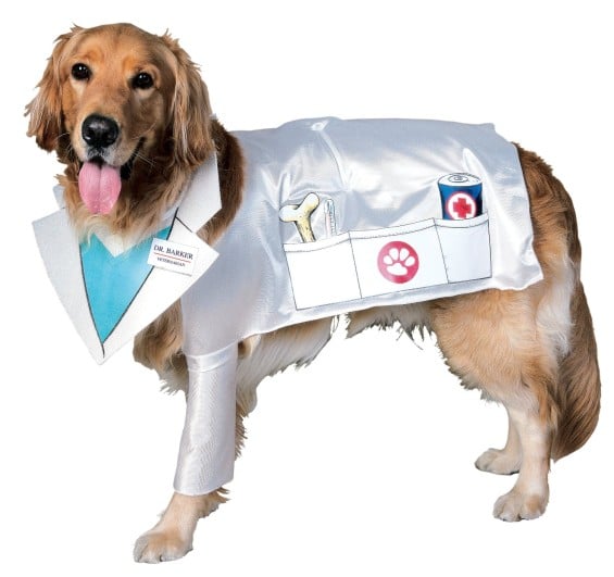 Rubies Costume Halloween Classics Collection Veterinarian Pet Costume