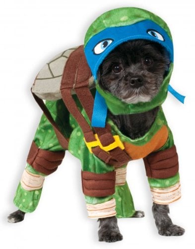 Teenage Mutant Ninja Turtles - Leonardo Pet Costume in Medium