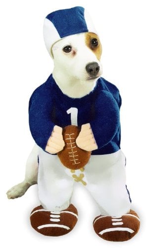 Football Fever Dog Costume MEDIUM by Zack & Zoey