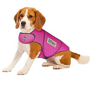 Kathie Lee Gifford's favorite thing for Monday, June 20, 2016 is the ThunderShirt Sport Jacket for Dogs.
