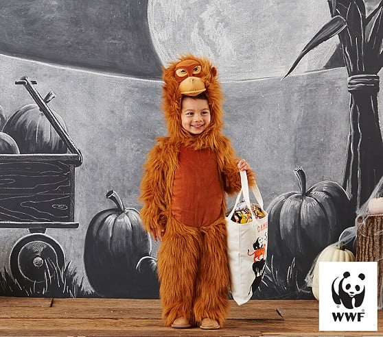 Pottery Barn Kids Toddler Endangered Orangutan Costume halloween costumes sale