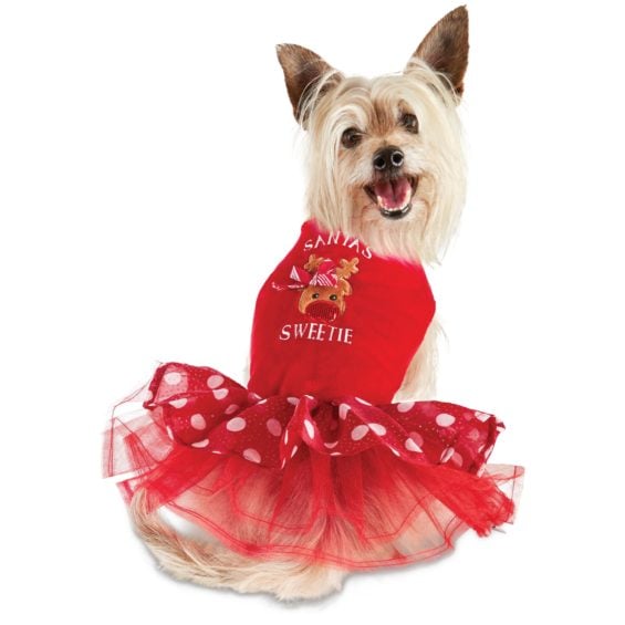 Time for Joy Santa's Little Sweetie Dog Dress, XXSmall Petco cyber monday sale