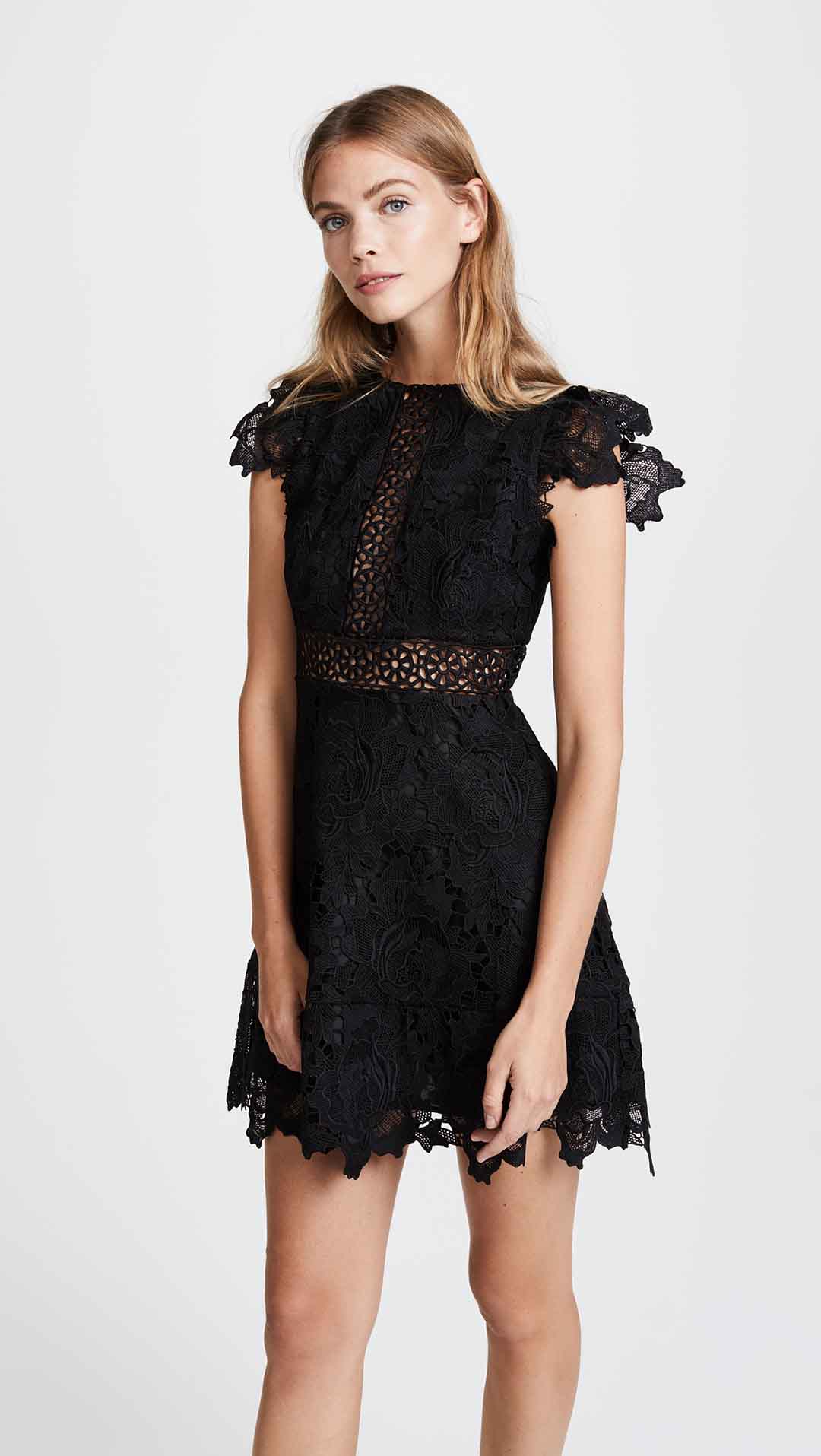 BB Dakota Calvin Scalloped Lace Dress Black lace fit and flare dresses fall wedding guests