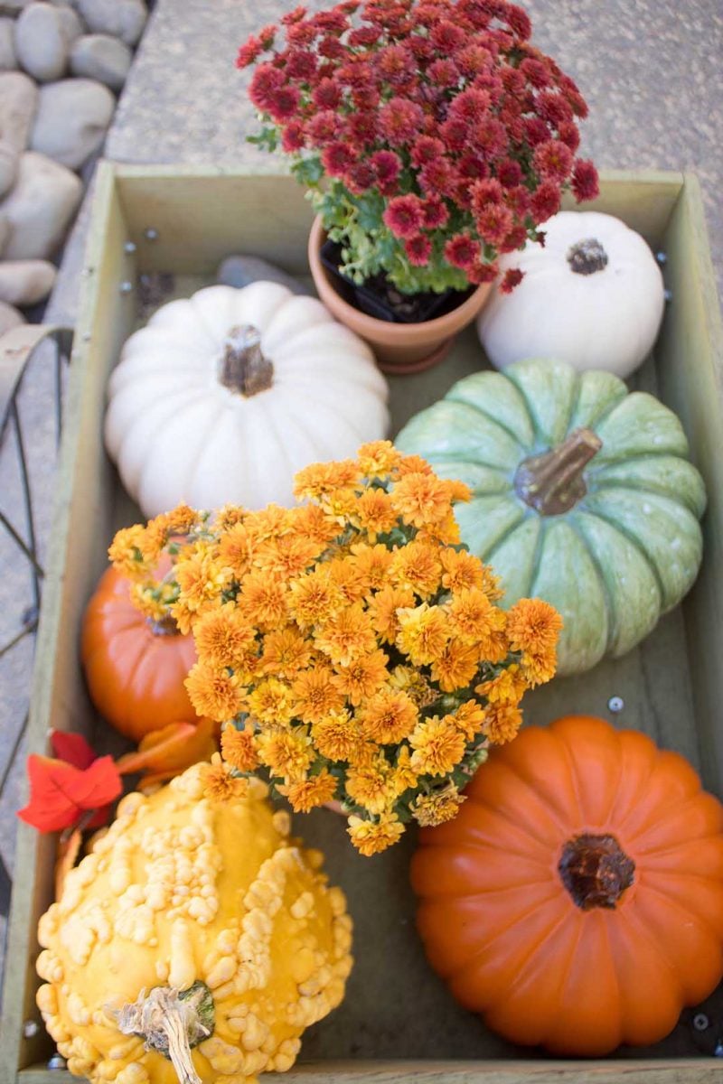 fall porch with pumpkins mums and vintage furniture for metal scroll christmas tree