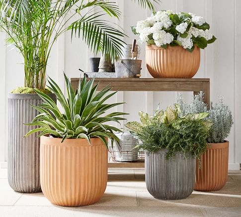 Pottery Barn Terra Cotta Concrete Fluted Planters pottery barn outdoor sale