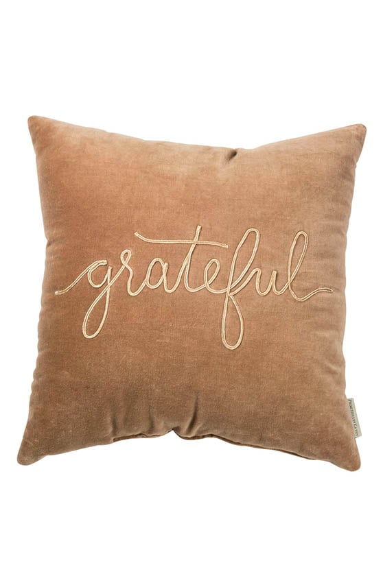 PRIMITIVES BY KATHY Grateful Velvet Accent Pillow Beige fall farmhouse throw pillows