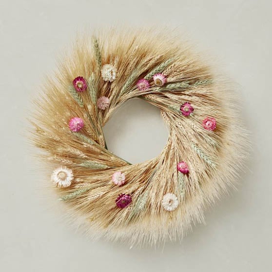 Williams Sonoma Wheat & Strawflower Wreath, 20" spring floral wreaths
