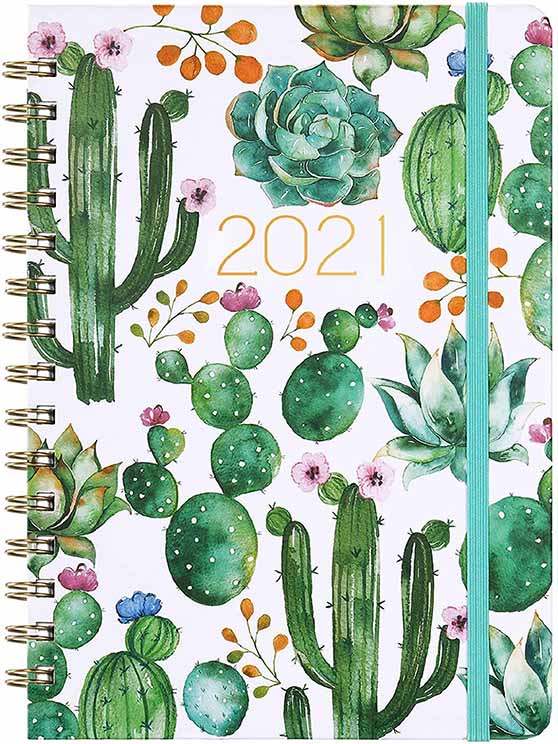 Maalbok Store Weekly & Monthly Planner Cactus succulents 2021 planners agendas
