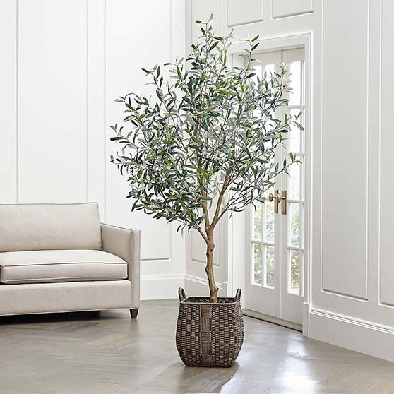 CrateandBarrel Artificial Olive Tree 7 foot tall faux olive trees