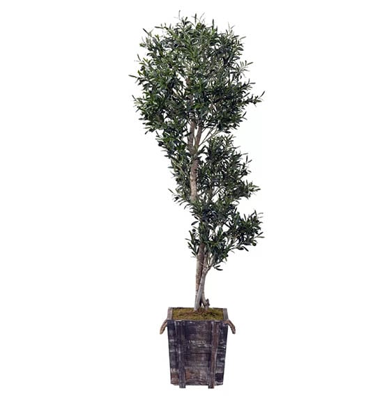 Fleur De Lis Sculptured Olive Tree in Planter faux olive trees