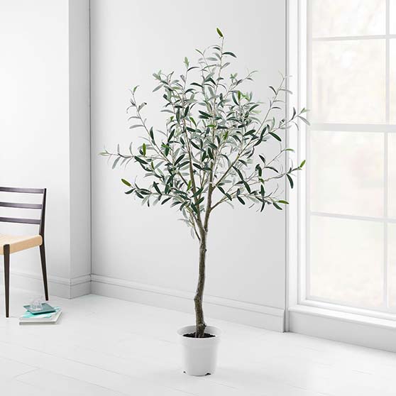 West Elm Faux Potted Green Olive Tree faux olive trees six foot tall tree
