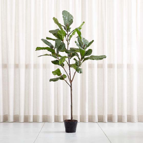 Crate&Barrel Artificial 7' Fiddle Leaf Fig Tree trees black pot