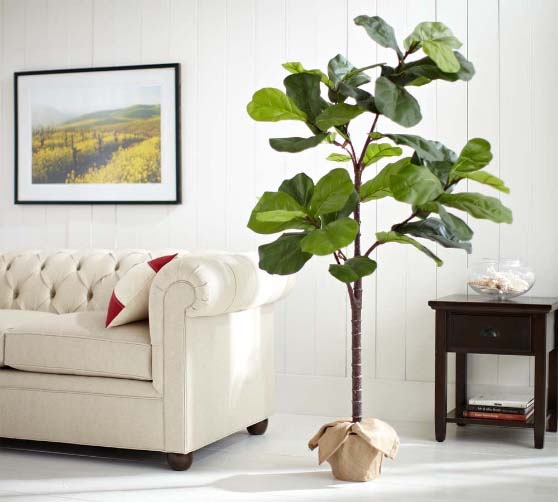 Pottery Barn Faux Potted Fiddle Leaf Fig Trees tree 6.9 feet tall