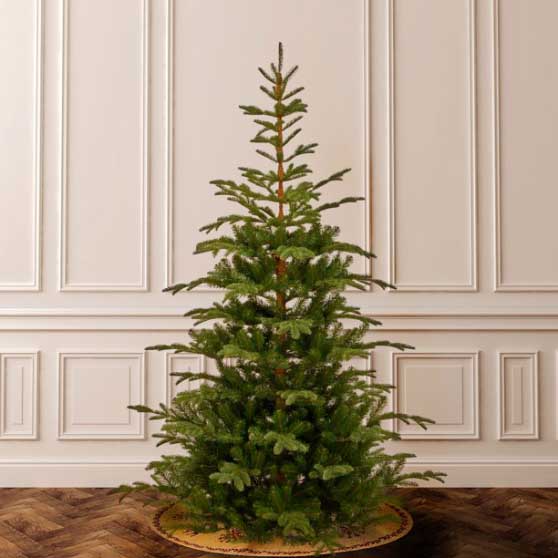 CC Christmas Decor 7.5’ Norwegian Spruce Artificial Christmas Tree - Unlit