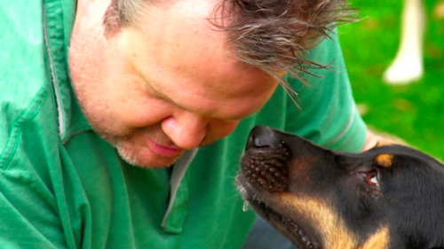 "Modern Family" star Eric Stonestreet and a furry friend at the Alabaster Dream Dog Park in Veterans Park, Alabaster, Alabama on Thursday, July 12, 2012. "Modern Family" star Eric Stonestreet and a furry friend at the Alabaster Dream Dog Park in Veterans Park, Alabaster, Alabama on Thursday, July 12, 2012.