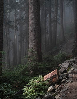 Howe Sound Crest Trail, Vancouver, British Columbia. Photo by Derrick Cooper on Unsplash