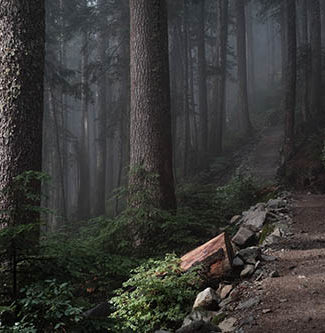Howe Sound Crest Trail, Vancouver, British Columbia. Photo by Derrick Cooper on Unsplash