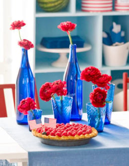 With Labor Day Weekend fast approaching, journalist Candace Rose Anderson of the website Candie Anderson has the scoop on the best red, white and blue DIY tips, decor must haves and crafts the entire family will love, including the kids!