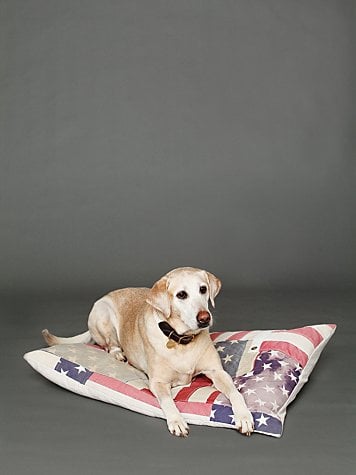 Free People Vintage American Flag Dog Bed