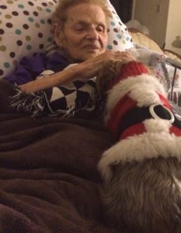 My grandmother and our dog Francesca on Christmas Eve 2013.