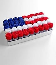 Hanky Panky Signature Lace Original Rise Thong 45 Pack Flag Box Set