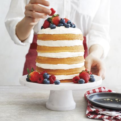  Wilton 5 Layer Cake Pan Set