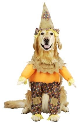 Scarecrow Dog Halloween Costume (Size: Large)