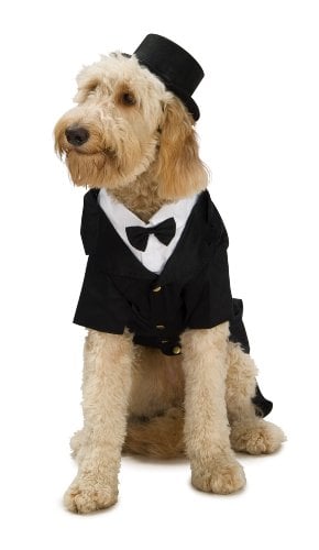Dapper Dog Tuxedo Pet Costume in a Black Tuxedo and Top Hat