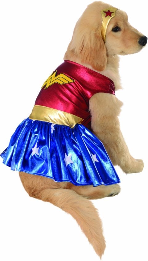 Rubies Costume DC Heroes and Villains Collection Pet Costume-Wonder Woman