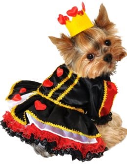 Anit Accessories 12-Inch Royal Queen of Hearts Dog Costume, Small