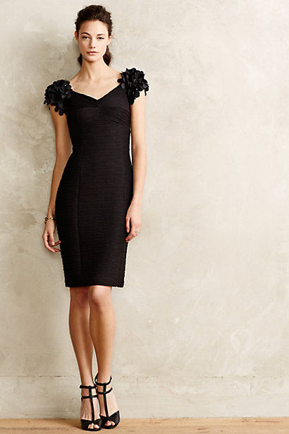 Viala Pencil Dress by Nue in Black