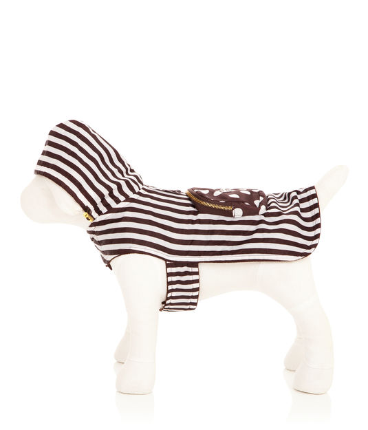 CITY SLICKER PACKABLE DOG COAT